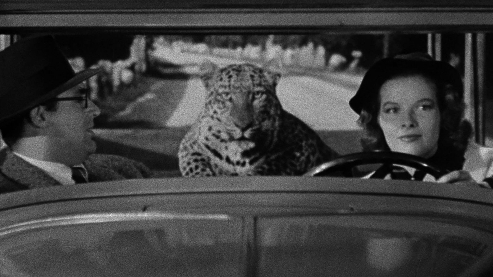 Bringing Up Baby (1938) iconic scene