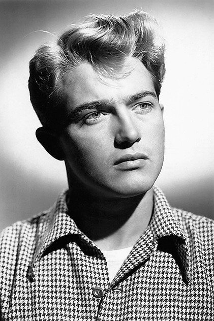 Johnny Sands as Jerry